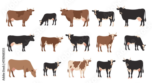 A collection of diverse farm cows and young calves in various breeds and colors, depicted as flat vector illustrations on a white background.