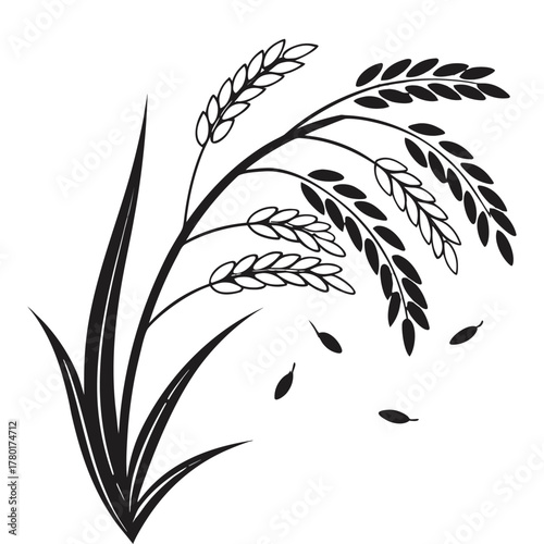 Rice Plant Vector Illustration Black Silhouette of Paddy Ears and Leaves Isolated on White Background