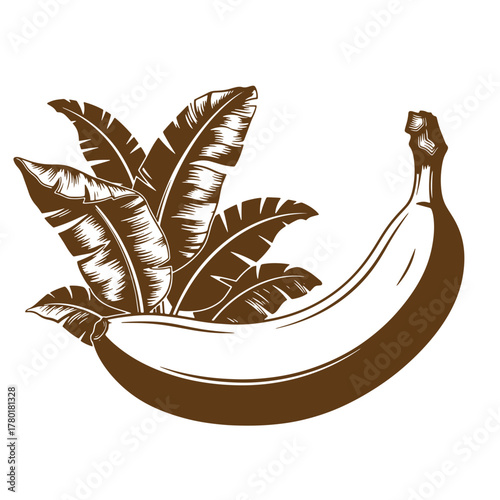 Vintage art illustration of a brown banana with banana leaves on white background
