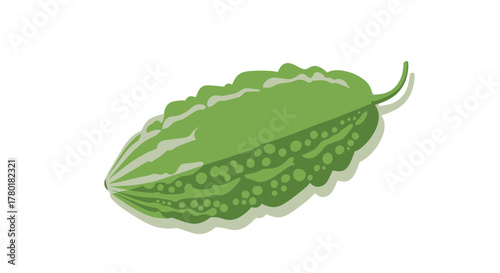 Bitter Gourd Isolated Illustration Against A Clean White Background for Design Elements