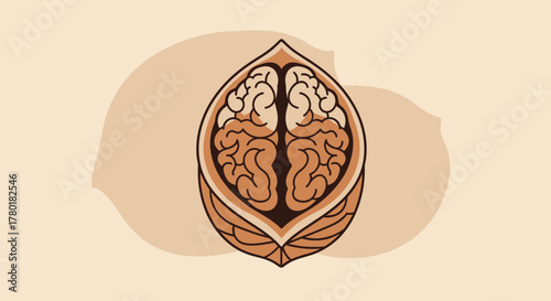 Brain Inside Walnut Representing Thought Process and Problem Solving Skills Concept Illustration