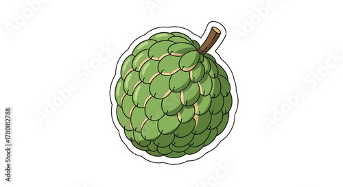 Cartoon Illustration of Custard Apple on Whtie Background Isolated View