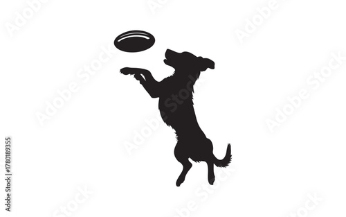 Dog Silhouette Collection with Training, Walking, and Playing Illustrations