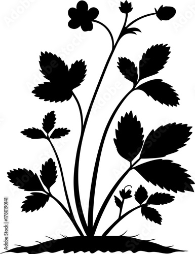 A black silhouette of a wild strawberry plant showing its leaves, flowers, and developing fruit against a white background.