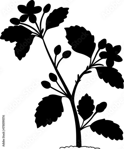 A black silhouette of a flowering plant stem with serrated leaves, buds, and blossoms, isolated on a white background.