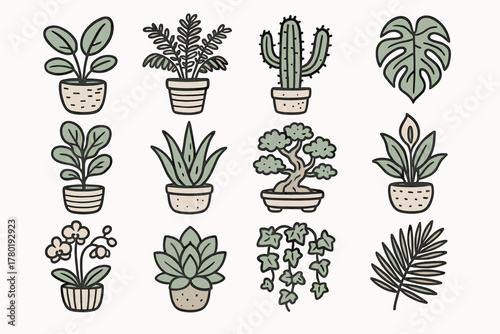 Fern hand leaf vector palm drawn cactus plant potted fig succulent monstera