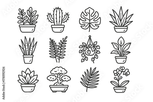 Plant icons bonsai lily fern icon peace home frond vector palm ivy