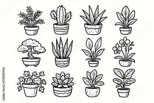 Fig vector plant snake orchid peace aloe icon icons succulent fern home