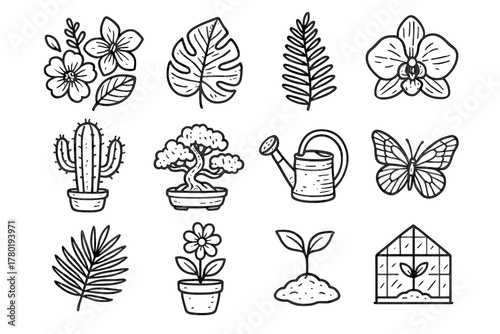Butterfly variety set flower icon leaf orchid vector pot can botanical