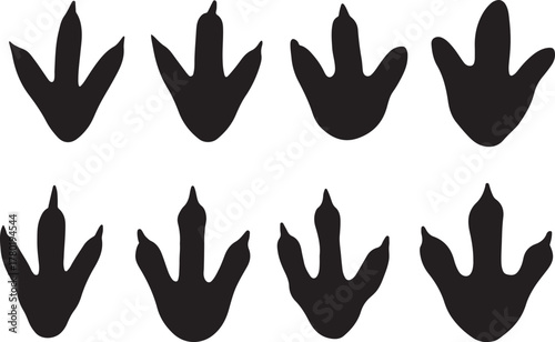 bundle of clean and varied dinosaur footprint silhouettes.