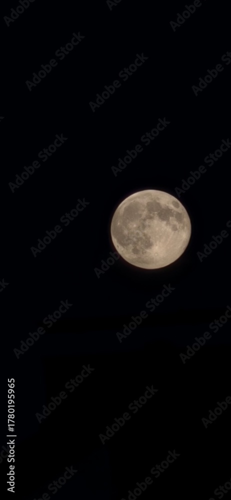 Obraz premium Vollmond