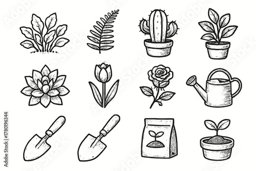 Vector potted blooming plant cactus bag shovel garden icon icons tulip rose