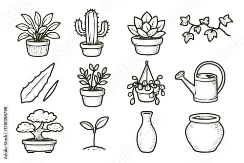 Hanging icons vector cactus succulent icon herb vine minimalist can potted watering
