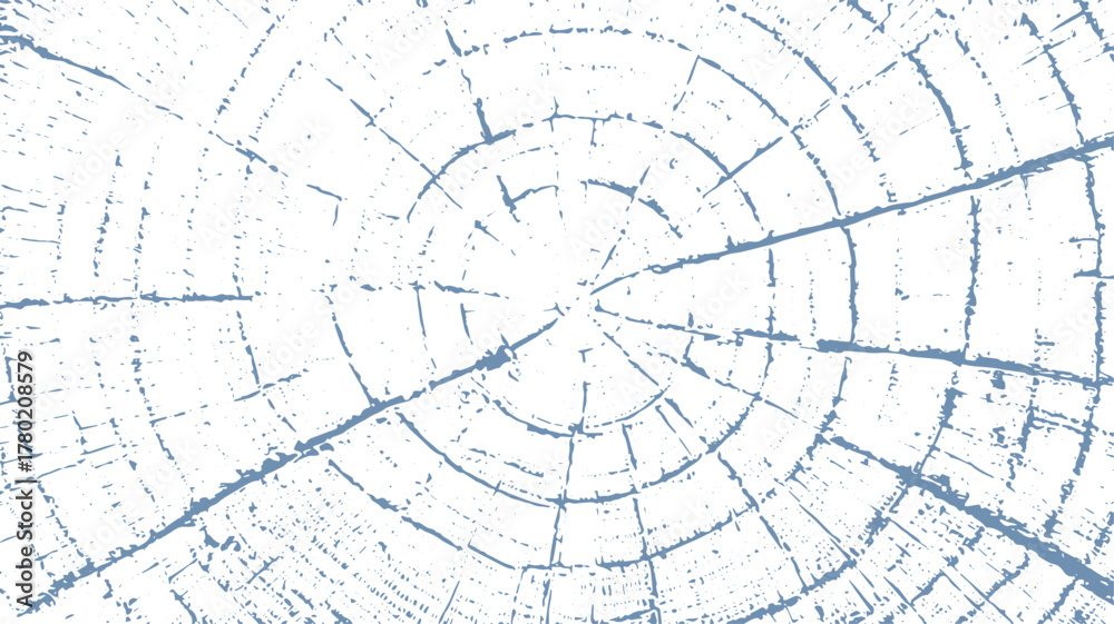 Obraz premium Tree Trunk Rings Texture Vector Background
