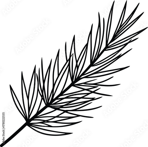Black line art pine branch with needles on background 1
