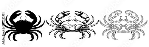 Set of three crab illustrations, including detailed drawing, silhouette, and sketch, showing a marine animal, seafood, crustacean, sea life, and nature vector graphic.