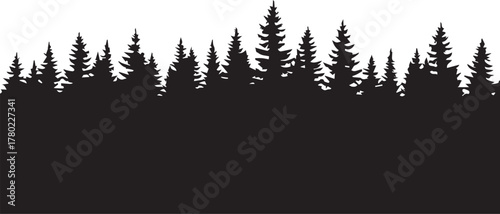 Silhouette of a dense forest of pine trees Keywords: forest, pine trees, silhouette, nature