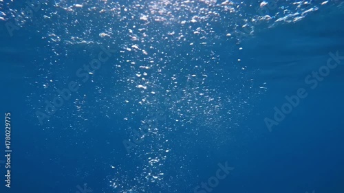 Tranquil aquatic environment: Showcase the serene beauty of an undisturbed underwater realm, where the subtle sound of rising bubbles contributes to a calming and immersive visual experience.