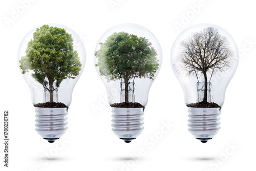 Concept of renewable energy and environmental sustainability with trees inside light bulbs showing life cycle