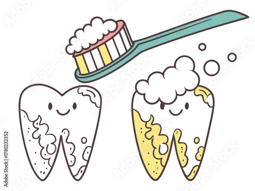 Brushing teeth with a toothbrush and toothpaste, personal hygiene
