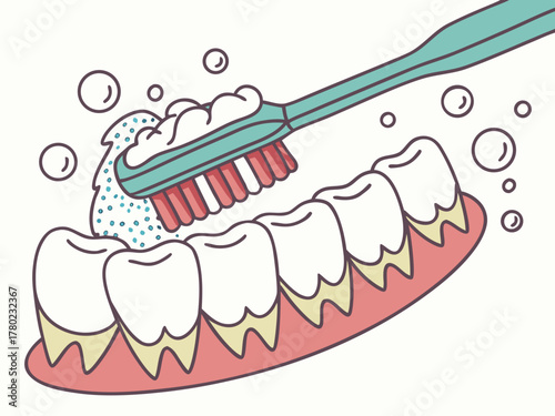 Brushing teeth with a toothbrush and toothpaste, personal hygiene