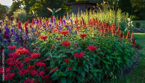 Hummingbird Flying Over Colorful Blooming Flower Garden