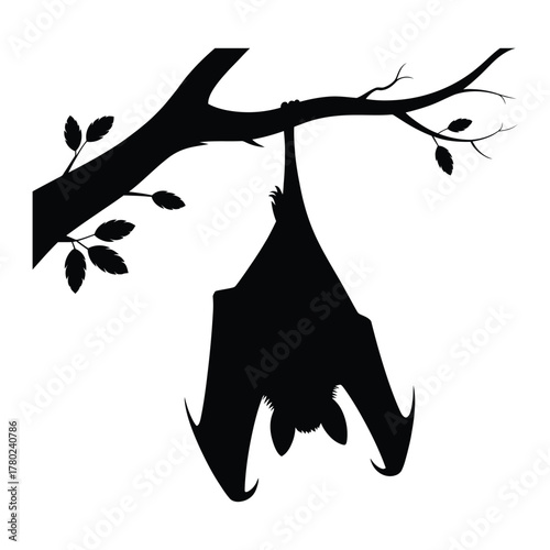Hanging bat upside down on branch Vector, Silhouette, Illustration