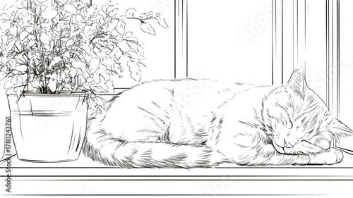 Cozy Cat Sleeping on Window Sill with Plant in Corner