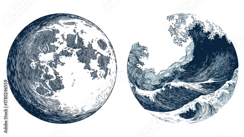 Moon and Moon Painted on White Background Vector Illustration
