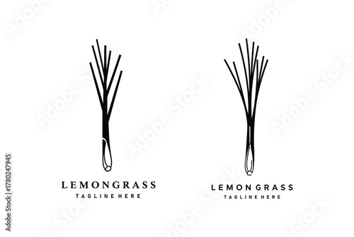 Lemongrass illustration, perfect for culinary and wellness branding