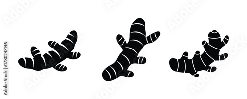 Black and White Ginger Root Collection Culinary Herb Icons and Illustrations