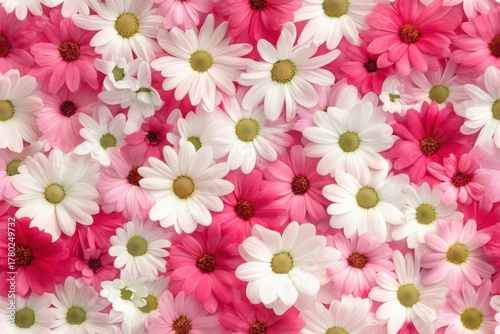 A Stunning Array of Pink and White Flowers Creating a Vibrant Floral Background for All Occasions