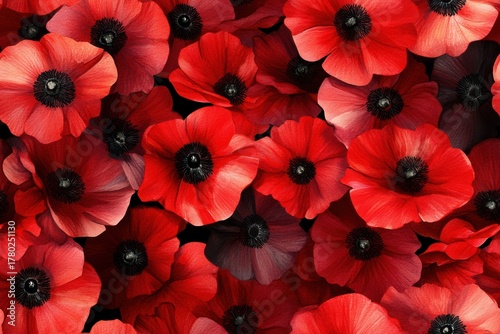 Vibrant Display of Red Poppies: A Floral Abundance of Nature's Beauty and Color