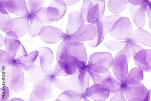 A Beautiful Collection of Delicate Purple Flowers Highlighting Nature's Elegance and Intricate Design