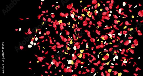 Colorful rose petals sway in the wind. Isolated on black background. 4K 3D rendering animation.