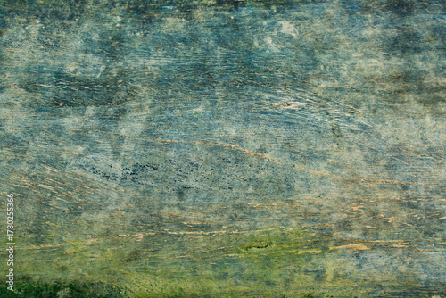 Old wooden planks with moss, green moss texture on wooden planks.