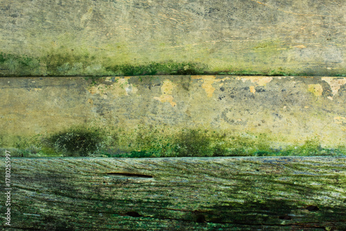 Old wooden board with moss, moss texture on wooden board.