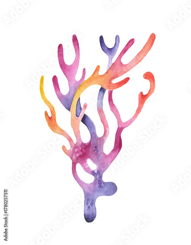 Coral reef watercolor illustration of abstract sea underwater plants.