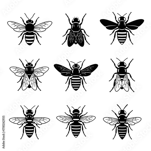 "Black and White Bee Icons – Detailed Insect Vector Set"