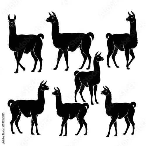 "Llama Silhouette Clipart Set – Black Andean Animal Vector Graphics"