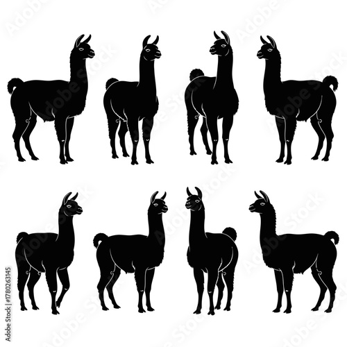 "Llama Silhouette Clipart Set – Black Andean Animal Vector Graphics"
