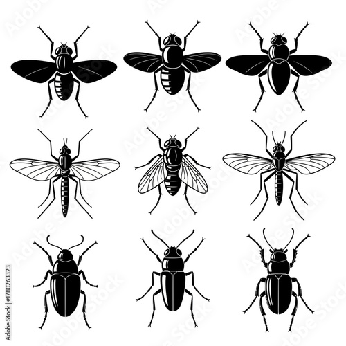 "Black and White Bee Icons – Detailed Insect Vector Set"