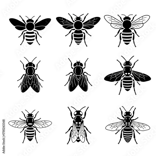 set of insects vector