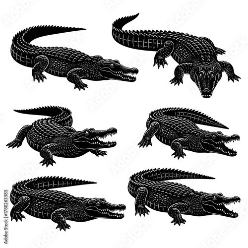 "Alligator Silhouette Clipart Set – Black Crocodile Vector Illustrations"