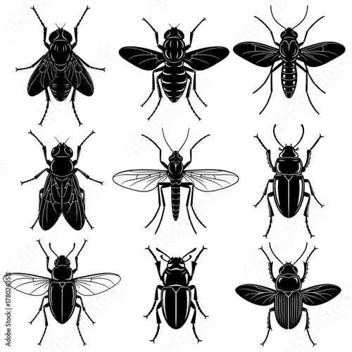 "Black and White Bee Icons – Detailed Insect Vector Set"
