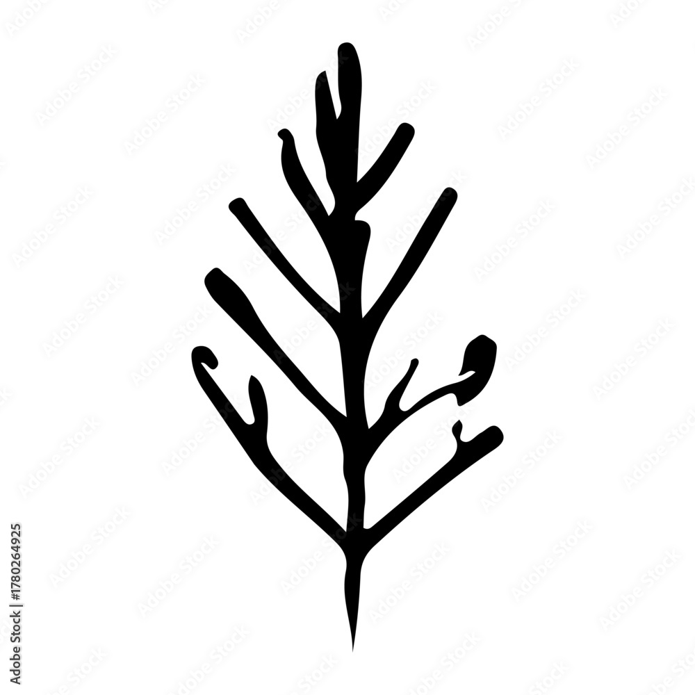 Fototapeta premium star and pine tree on the christmas element