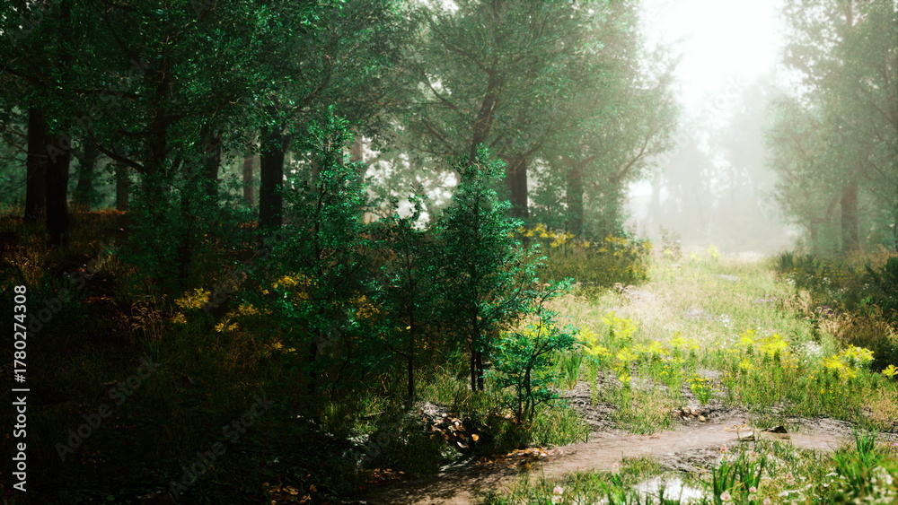 Obraz premium Gentle sunlight streams through a canopy of green leaves, casting soft shadows on the forest floor. Vibrant plants and wildflowers create a tranquil atmosphere in this peaceful woodland scene.