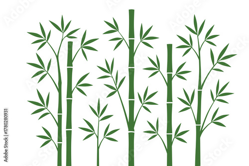 bamboo leaves isolated on white