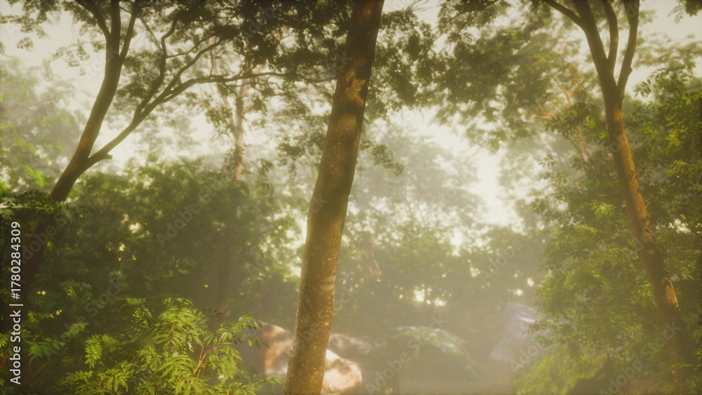 Fototapeta premium Soft morning light filters through a lush green forest, creating a tranquil atmosphere. Tall trees and vibrant foliage thrive in this serene environment, as mist softly envelops the area.