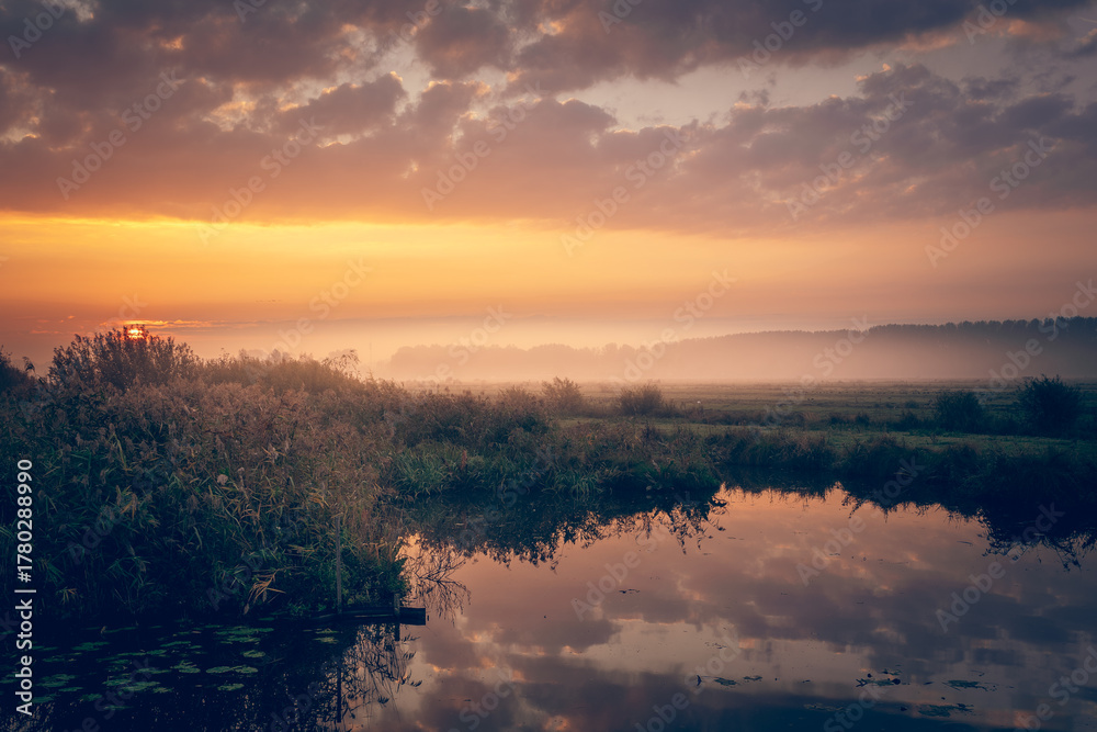 Fototapeta premium Foggy sunrise over Dutch wetlands with warm golden light, calm water reflections and tall reeds. Peaceful rural landscape in the Netherlands.